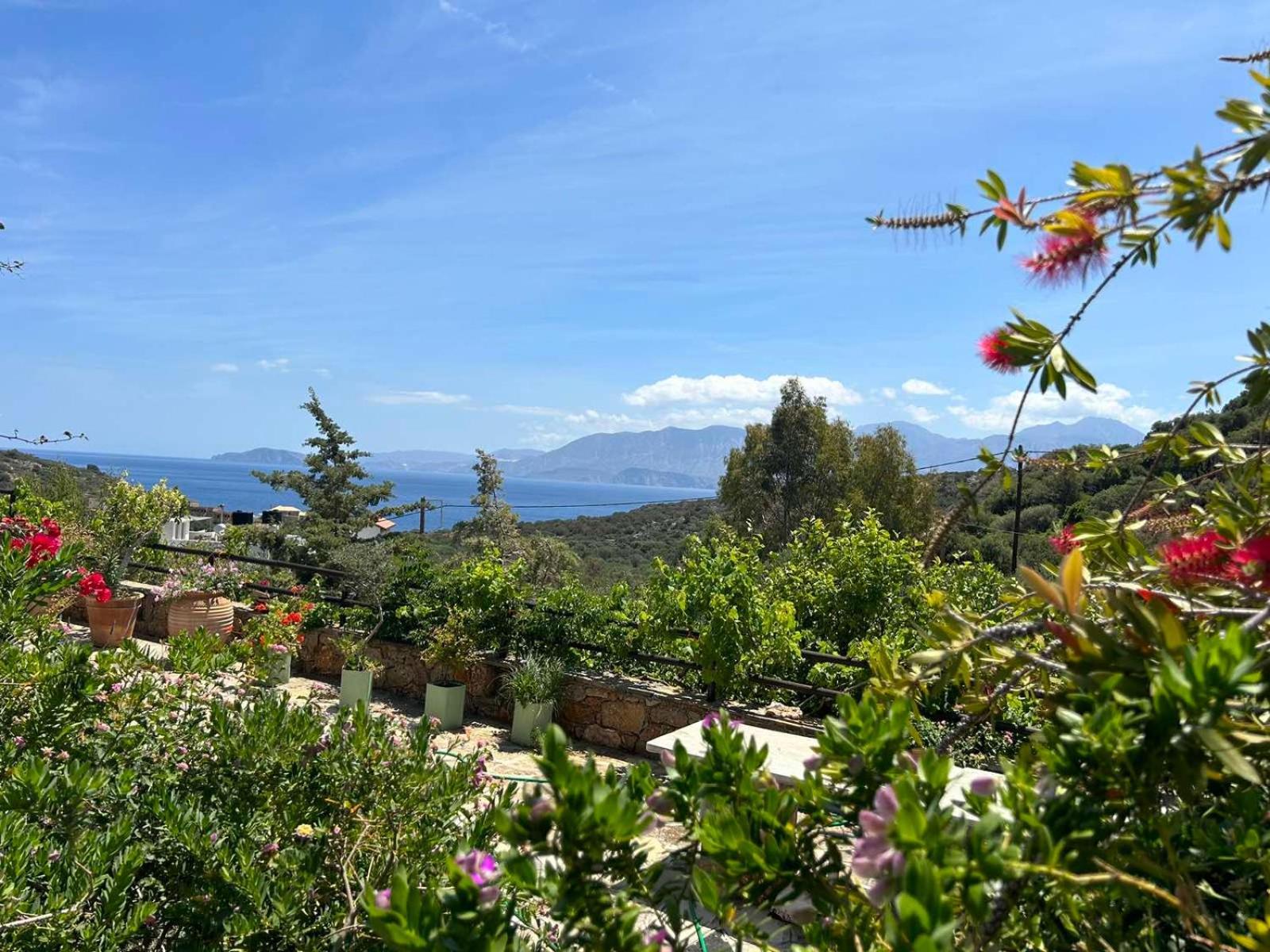Fissi Villas Agritourism Accommodation Near The Sea Ágios Nikólaos Екстериор снимка